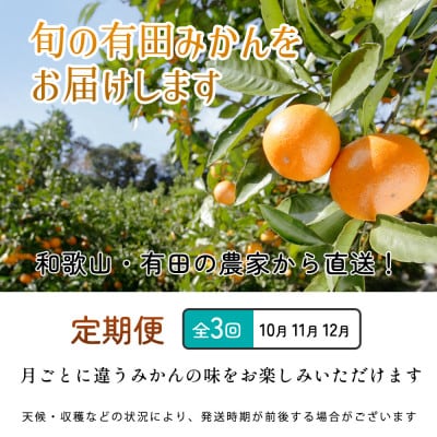 【発送月固定定期便】厳選 柑橘定期便SS(10～12月)全3回【配送不可地域：離島・北海道・沖縄県】