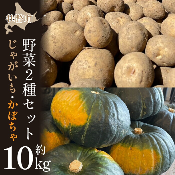 【ふるさと納税】＜2025年9月初旬よりお届け＞【農園直送】清水農園の野菜2種セット（じゃがいも・かぼちゃ）計約10kg 【 ふるさと納税 人気 おすすめ ランキング じゃがいも ジャガイモ かぼちゃ カボチャ 南瓜 野菜 甘い ほくほく 北海道 壮瞥町 送料無料 】 SBTO006