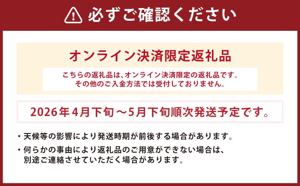 長崎市産びわ 1kg 24個入 【2026年4月下旬～5月下旬発送予定】 びわ ビワ 果物 くだもの フルーツ 国産 国産フルーツ 常温 長崎県 長崎市