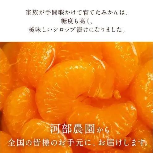 河部農園 自家製 奥平山産 青島みかんのシロップ漬け 1本800g×3本 計約2.4kg オリジナル化粧箱入 シロップ漬け みかん ミカン 蜜柑 静岡 浜松市