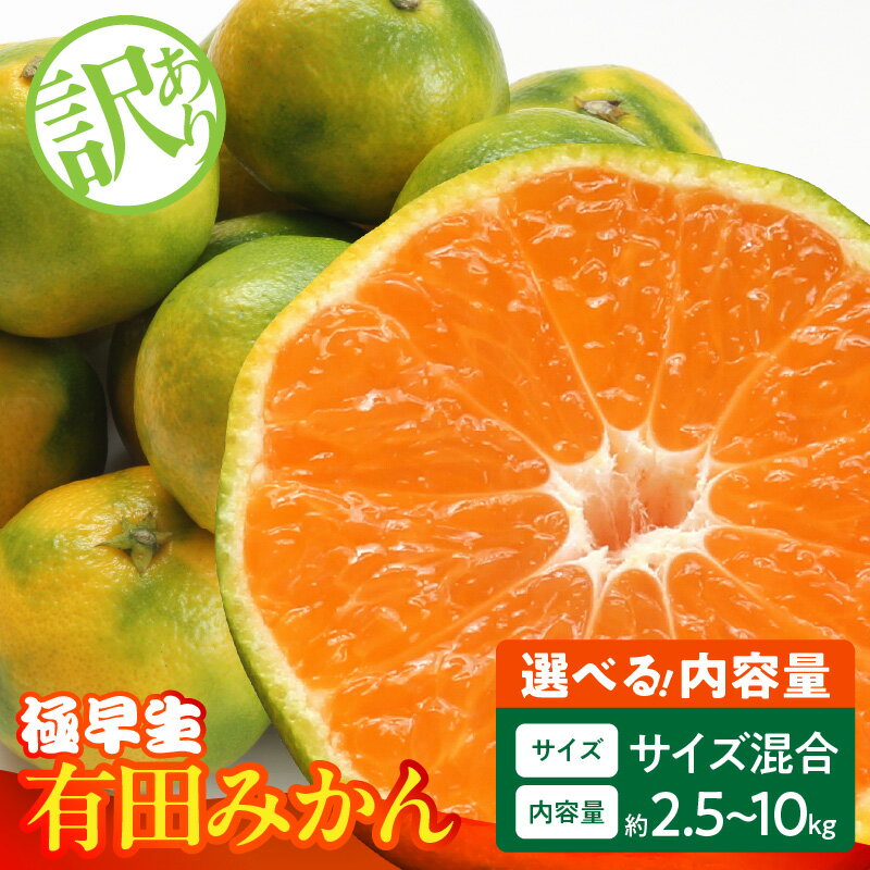 【ふるさと納税】【2025年先行予約】 訳あり みかん 極早生 選べる 内容量 箱込 2.5kg ～ 10kg サイズ ミックス 優品 採れたて ごろごろ規格 有田みかん 新鮮 和歌山県産 フルーツ デザート 和歌山県 湯浅町 お取り寄せ お取り寄せフルーツ みかんの会 送料無料