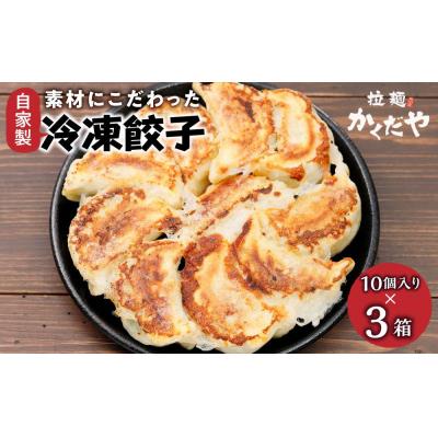 ふるさと納税 栃木市 素材にこだわった自家製冷凍餃子