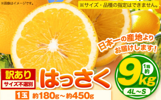 【訳あり/ご家庭用】＜先行予約＞紀の川市産 はっさく 八朔 約9kg (4L~Sサイズ ※サイズ不選別)早生･晩生指定不可《2月上旬-4月中旬に出荷予定(土日祝除く)》