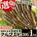 【ふるさと納税】＜内容量が選べる！＞冷凍クルマエビ(計500g(10尾×2袋)/計1kg(10尾×4袋)) 国産 九州産 鹿児島 特産品 特産 車海老 くるまえび 活き車えび 車えび 海鮮 魚介 鍋 お鍋 塩焼き 串焼き バーベキュー BBQ エビフライ 天ぷら 刺身 お刺身 冷凍【ヒガシマル】