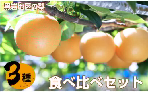 <2025年 秋発送>　佐川の梨 3種食べ比べ（豊水梨・新高梨・あきづき梨） 先行予約