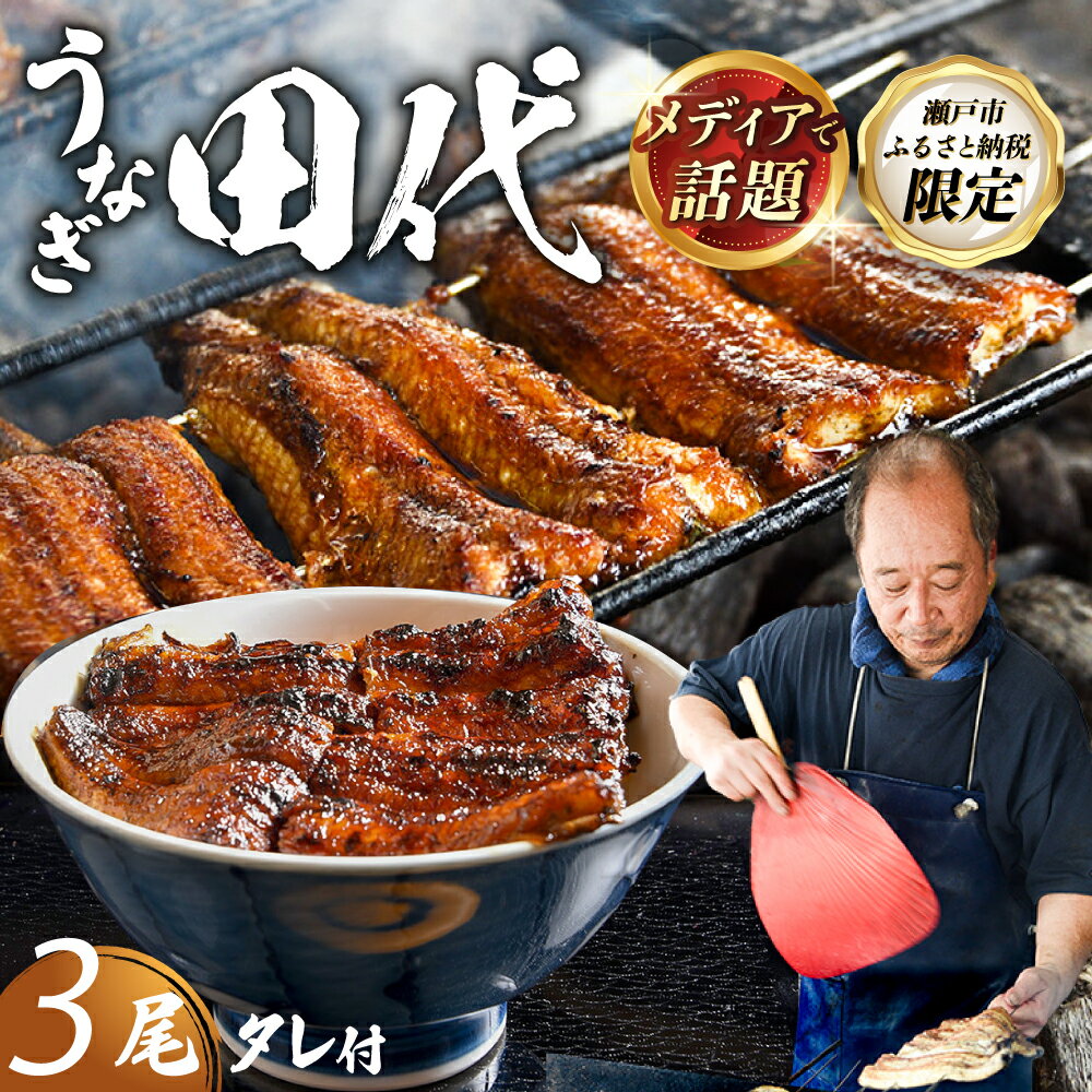 【ふるさと納税】【TVで話題沸騰！】 炭火焼き 国産うなぎ 蒲焼 3尾 / 取り寄せグルメ うなぎ 愛知県 尾張瀬戸 / 瀬戸市 / うなぎ田代[BBCA003]