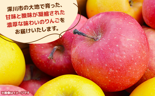 【令和7年産先行受付】北海道深川市産りんご(つがる)5kg【ふるさと納税】【配送不可地域：離島】【1298284】