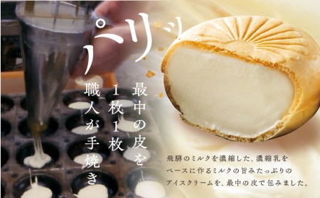 コロナに負けない！飛騨のミルクの旨味たっぷりアイスクリーム福袋セット[Q123]