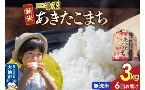 《新米》 《定期便6ヶ月》あきたこまち 一等米【無洗米】3kg 秋田県産 令和8年産 こまちライン 秋田県 大仙市産 [こまちライン あきたこまち ブランド米 お米 白米 精米 無洗米 米どころ 秋田 秋田県産]