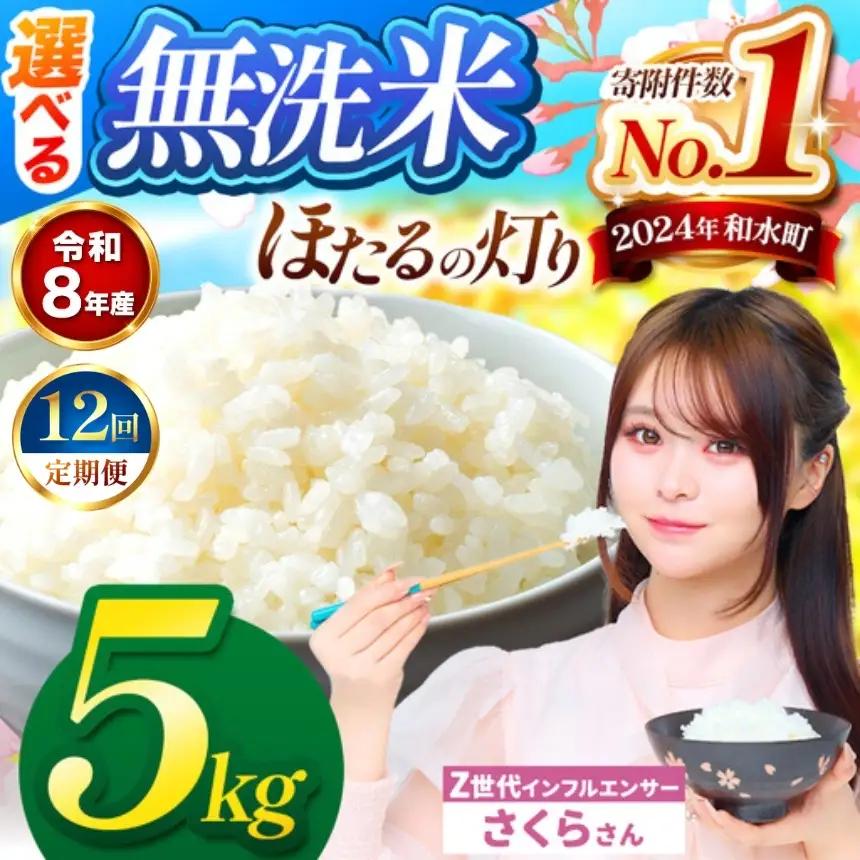 【 新米 予約 】 【 定期便 12回 】 令和8年産 熊本県産 ほたるの灯り 無洗米 5kg こめ 米 訳あり 規格外