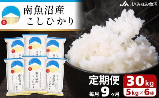 【JAみなみ魚沼定期便】南魚沼産こしひかり（30kg×全9回）精米 精米HACCP認定工場 特A獲得日本一産地 JAみなみ魚沼一番人気 高品質精米 雪国の恵み もっちり甘い 南魚沼産コシヒカリ≪定期便 コシヒカリ こしひかり 精米≫