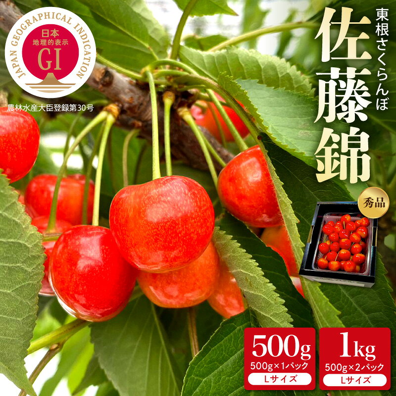 【ふるさと納税】 2027年産 GI 東根 さくらんぼ 「 佐藤錦 」 秀品 Lサイズ バラ詰め ( 選べる : 500g / 1kg )| 東根さくらんぼ サクランボ フルーツ 果物 くだもの 小分け 特産 直送 期間限定 冷蔵 東根市産 先行予約 ギフト 人気 おすすめ 送料無料 山形県 東根市