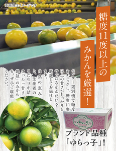 【糖度11度以上!】ゆら早生みかん「ゆらっ子」5kg ※2026年10月上旬～10月下旬頃に順次発送予定(お届け日指定不可) / 極早生 早生 由良町 和歌山県 柑橘 密柑 完熟 甘い ミカン 光セン