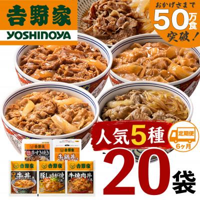 ふるさと納税 十日町市 【毎月定期便】吉野家 人気5種20袋 牛丼の具など詰め合わせセット(冷凍)全6回