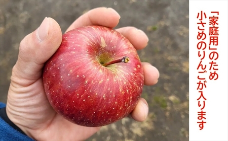 【期間限定】桃源郷のサンふじ 家庭用 約3kg (2025年12月1日~20日出荷/北海道・沖縄・離島は配送不可) フルーツ 産地直送 旬 信州 長野 佐久市 旬彩 玉数指定なし