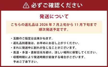 まごころ ミニトマト の宝石箱 1.7kg(約80～110玉)×3箱 計5.1kg サンチェリーピュア トマト【2026年7月上旬から11月下旬まで発送予定】