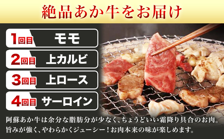 【6ヶ月定期便】阿蘇あか牛満喫セット 株式会社LARKS《お申し込み月の翌月から出荷開始》肉 牛肉 あか牛 ローストビーフ ハンバーグ 冷凍 名物 熊本県 毎月届く 送料無料