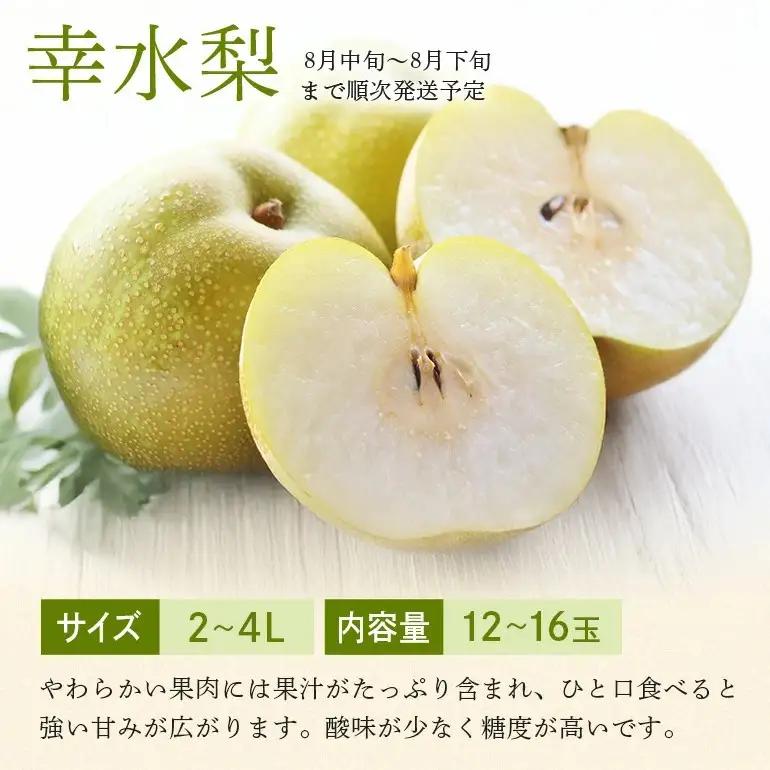 幸水梨 箱込約 5kg（JA新ひたち野）梨 約 12玉 ～ 16玉 (B01-009)