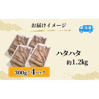 ふるさと納税 香美町 小さいサイズのハタハタ 計1.2kg(300g×4パック)下処理済み(冷凍) |  | 03