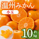 【ふるさと納税】＜期間限定！2024年10月上旬以降順次発送予定＞香川県産 温州みかん (約10kg/小玉)国産 果物 果実 くだもの フルーツ みかん 蜜柑 産地直送 ミニ 小さい ミカン オレンジ 柑橘 【man079】【Aglio nero】