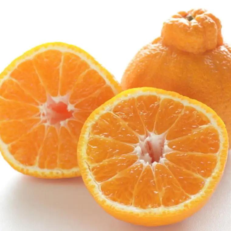 ［濃厚］有田産不知火約4kg（M～3Lサイズ混合）★2027年2月中旬頃より順次発送