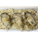 【ふるさと納税】レンジでポン！久美浜の牡蠣めし(190g×3個) 牡蠣 簡単 晩御飯 時短 短時間料理 お祝い パーティー ご飯 お祝いご飯 ふるさと納税 牡蠣めし