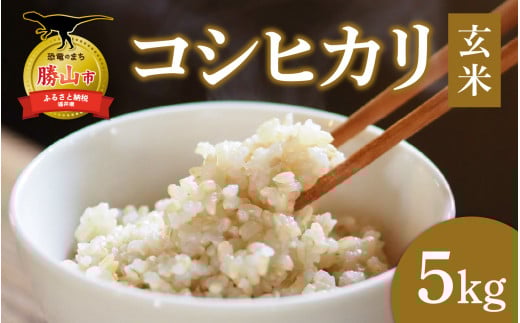 【令和7年産】【勝山市産】田中さんちのコシヒカリ 玄米 5kg [A-080007]