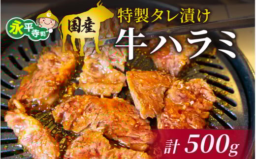 国産 特製タレ漬け牛ハラミ 250gx2パック（計500g） [B-019007]