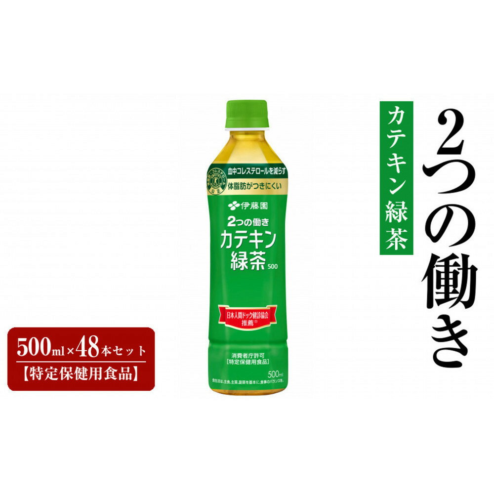 【ふるさと納税】PET 2つの働きカテキン緑茶500ml×48本セット【特定保健用食品】 | カテキン緑茶 カテキン お茶 ペットボトル 飲料 ソフトドリンク 伊藤園 ITOEN 静岡のお茶 日本のお茶 緑茶 香り 人気 おすすめ 送料無料