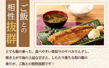 骨取り！ 脂の乗ったサバみりん干し 2枚×5パック 【干物 サバ】