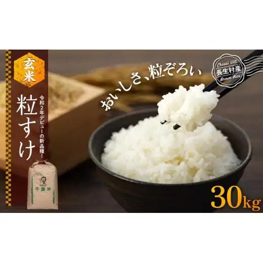 H04-B02 粒すけ（玄米30kg）令和8年産