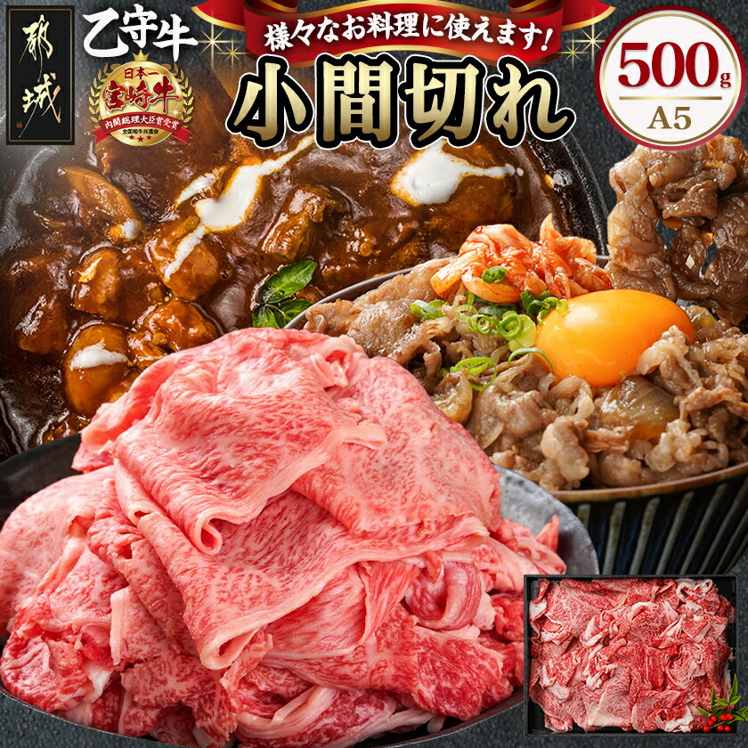 【ふるさと納税】【宮崎牛A5】小間切れ500g(乙守牛) - 桜花牧場 自社ブランド牛「乙守牛(宮崎牛)」 高級牛肉 牛こま肉 牛肉小間切れ 牛こま切れ 赤身が美味しい 肉質等級 5等級 自社牧場生産 送料無料 19-6502 【宮崎県都城市】