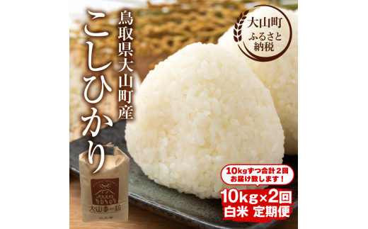 MS-102 頒布会（大山町産こしひかり【大山の一粒】白米10ｋｇ×2回）　