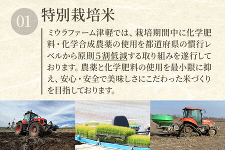 【寄附金額見直しました】米【特別栽培米】あきたこまち 白米 5kg 青森県弘前市産