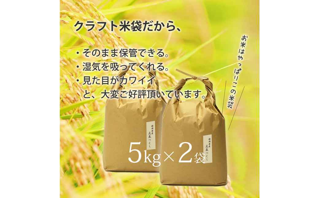 福岡県産 【特A】評価のお米「元気つくし」5kg×2袋（10kg）
