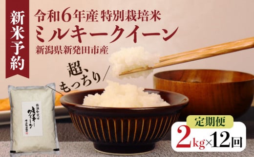 【定期便】 令和6年産 新潟県産 お米 2kg×12か月 ミルキークイーン 米 お米 コメ おコメ こめ 新潟県 新潟産 新発田産 米 ミルキークイーン 佐々木耕起組合 2kg 12ヵ月 24kg 定期便 夕食 晩ごはん