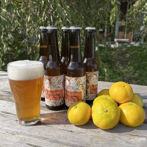 大阪府和泉市産みかんを使用したクラフトビール 330ml 6本セット【配送不可地域：離島】【1682678】