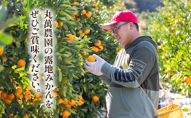 【2025年出荷分】訳あり 露地みかん(2S～Mサイズ) 5kg＋約100g (傷み補償分) 丸萬農園 mn-0004