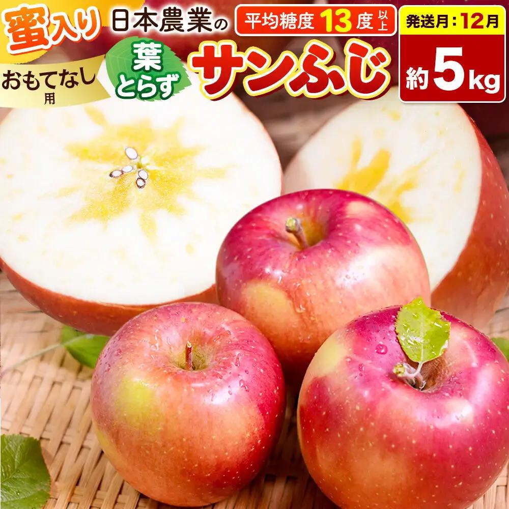りんご 葉とらずサンふじ 【おもてなし用】 約5kg  12月発送 りんご