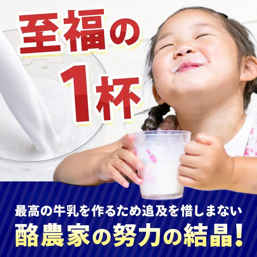 【12ヶ月定期便】ロングライフ 常温保存可能 北海道 3.6 牛乳 1000ml × 12本 日高乳業《お申込み翌月から出荷》