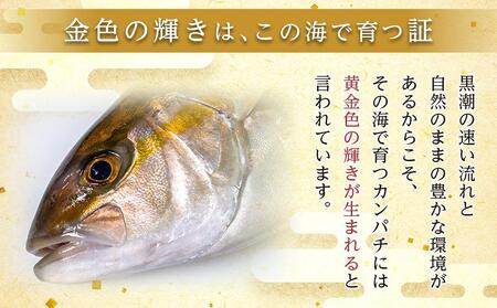 【ねじめ黄金カンパチ】ロイン 4本 カンパチ 1尾分 ( 約400g × 4本 ) 着日指定可  | かんぱち 勘八 産地直送 冷蔵 刺身 カンパチ 美味しい 魚