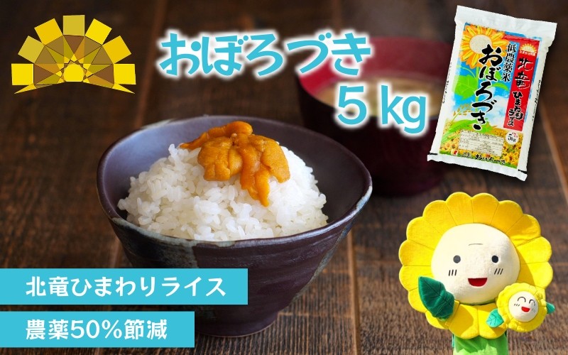 
            白米 おぼろづき 5kg 新米 予約 / ごはん こめ 米 お米 北海道 北海道米 ※10月～順次発送 【sun400-obo-r5】
          