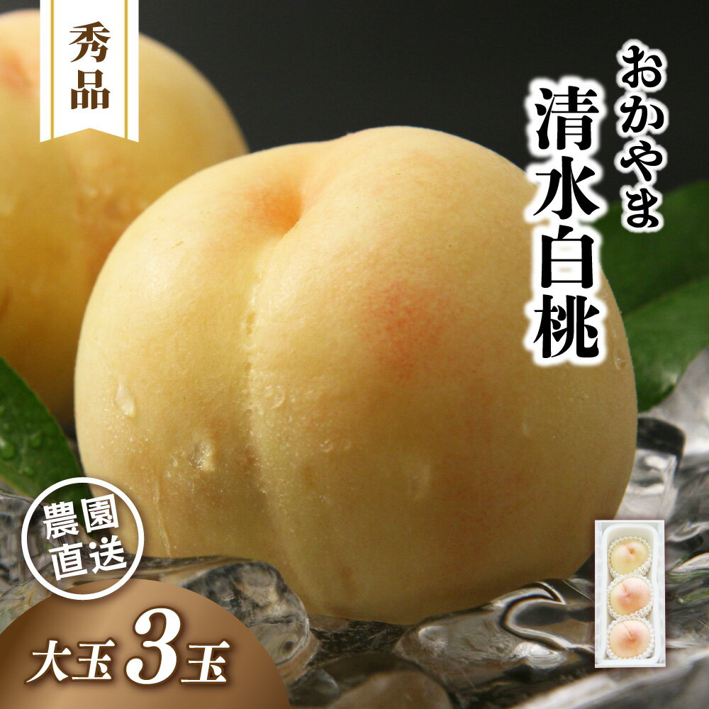 【ふるさと納税】 清水白桃 秀品 大玉3玉 【2026年先行予約】 白桃 贈答 お中元 ギフト 産直 高級 フルーツ 果物 くだもの プレゼント 【配送不可地域：北海道／沖縄県／離島】 momo33