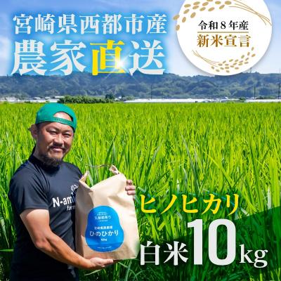 ふるさと納税 西都市 【令和8年産新米・先行受付】ひのひかり10kg　※10月中旬以降順次発送予定　精米済み [3220]