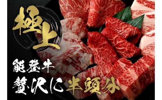 能登牛 半頭買い 24分割配送 牛肉 冷凍 肉 希少 和牛 とろける 柔らか 口当たり お肉 ブランド牛 黒毛和牛 高品質 やきにく 焼き肉 すき焼き 炒め物 牛丼 BBQ 煮込み カレー 肉じゃが お祝い ふるさと納税 石川 能登 羽咋 能登半島 災害支援 復興 支援
