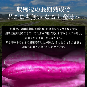 さつまいも 3kg Mサイズ なると金時 さつまいも