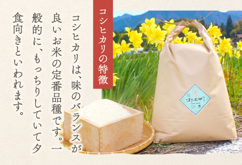 C-1101 【定期便】横尾衛門のコシヒカリ 白米 10kg×3回コース【新米 定期便 定期 3回 米 お米 白米 精米 特別栽培米 低農薬 低化学肥料 ブランド米 コシヒカリ 10kg×3回 合計3