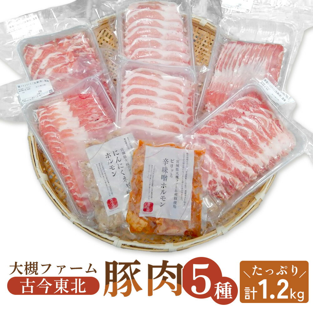 【ふるさと納税】【古今東北】 丸森町大槻ファーム 豚肉5種類セット(計1.2kg）丸森町 古今東北 大槻ファーム 豚肉セット 1.2kg SPF豚 しもふりレッド 焼き肉 豚しゃぶ 生姜焼き 味付けホルモン 辛味噌ホルモン にんにくネギ塩ホ【30101】