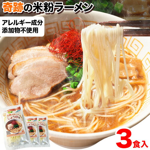【ふるさと納税】ラーメン 奇跡の 米粉ラーメン 3食セット 有限会社 樽の味《30日以内に出荷予定(土日祝除く)》無添加 和歌山県 日高町 送料無料 米粉ラーメン 醤油ラーメン 無添加ラーメン しょうゆラーメン