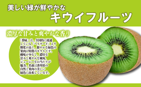 先行予約 キウイ 約1.4kg キウイフルーツ グリーンキウイ 香緑キウイ 11月下旬～1月中旬 配送 家庭用 贈答用 ギフト プレゼント 香川県 丸亀市
